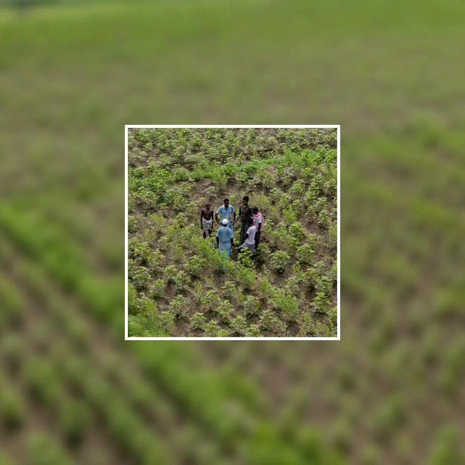 Transparentne pochodzenie